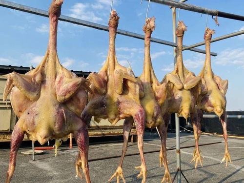 余杭人，请查收这份腊味攻略 选购渠道与家禽初加工全指南