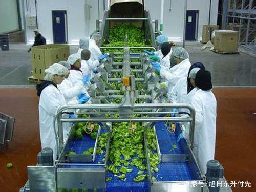 300万资金在农村 家禽初加工项目投资指南