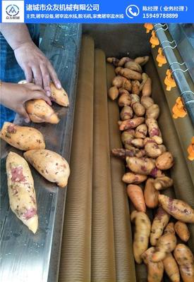 诸城市众友机械 引领家禽初加工行业的技术革新与品质保障