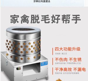 郑州家禽脱毛机 高效不伤皮，助力家禽屠宰与肉类初加工现代化